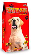 foto produto