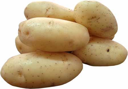 foto produto