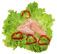 foto produto